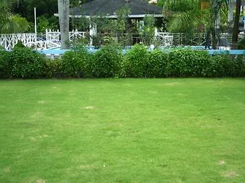 Paradise Brandon Hill Guest House Montego Bay 2*,
